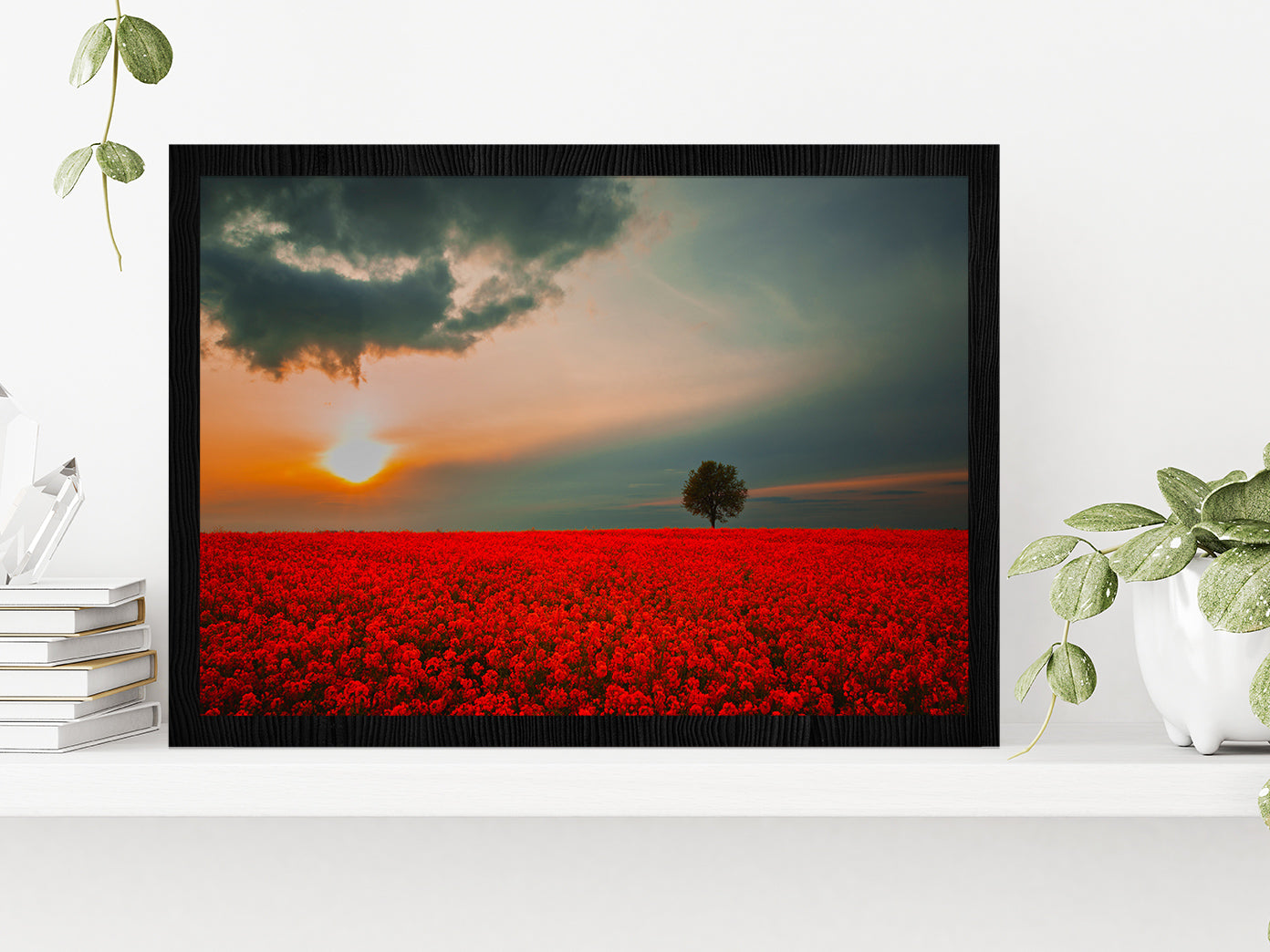 Red Field & Tree Spring Sunset Glass Framed Wall Art, Ready to Hang Quality Print Without White Border Black