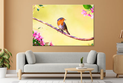 Robin on Apple Tree in Spring  Wall Art Decor 100% Australian Made