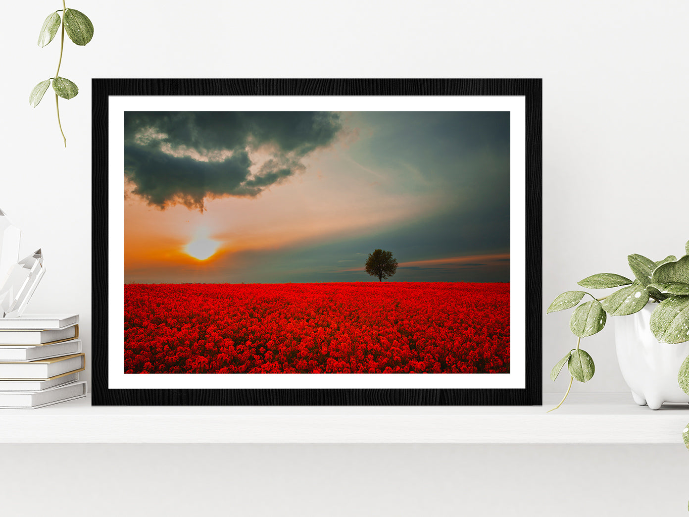 Red Field & Tree Spring Sunset Glass Framed Wall Art, Ready to Hang Quality Print With White Border Black