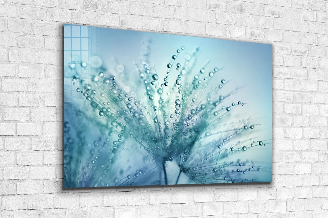 Blue Dandelion Droplet UV Direct Aluminum Print Australian Made Quality