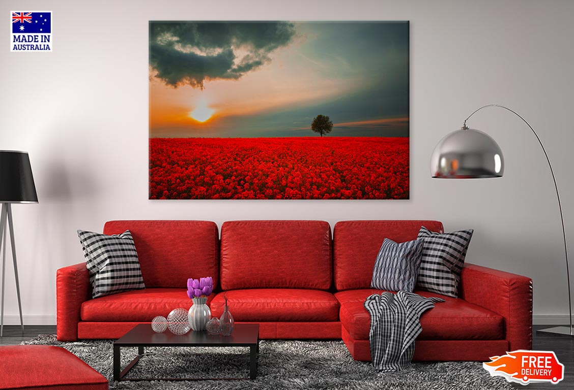 Red Field & Tree Spring Sunset Print 100% Australian Made