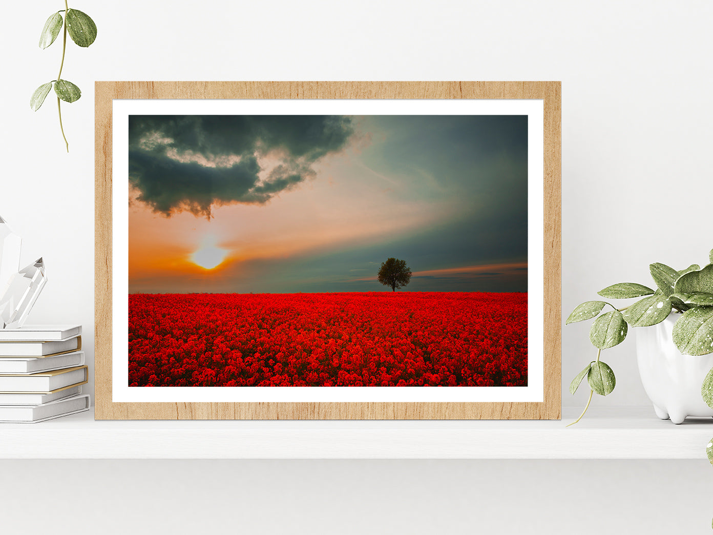 Red Field & Tree Spring Sunset Glass Framed Wall Art, Ready to Hang Quality Print With White Border Oak