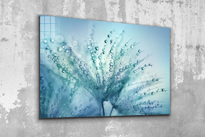 Blue Dandelion Droplet UV Direct Aluminum Print Australian Made Quality