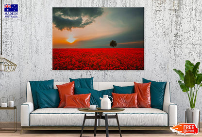 Red Field & Tree Spring Sunset Print 100% Australian Made