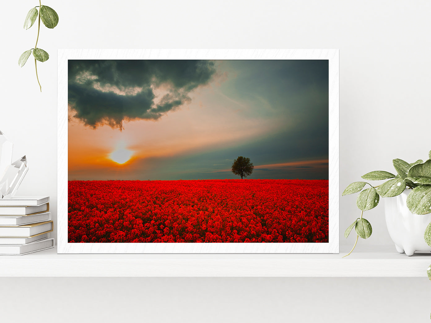 Red Field & Tree Spring Sunset Glass Framed Wall Art, Ready to Hang Quality Print Without White Border White