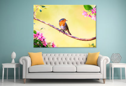 Robin on Apple Tree in Spring  Wall Art Decor 100% Australian Made