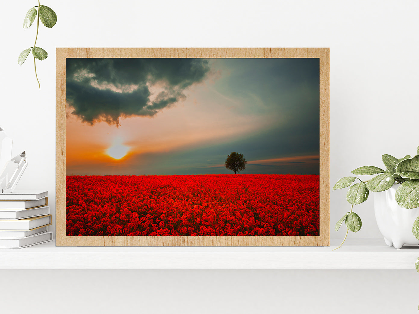 Red Field & Tree Spring Sunset Glass Framed Wall Art, Ready to Hang Quality Print Without White Border Oak