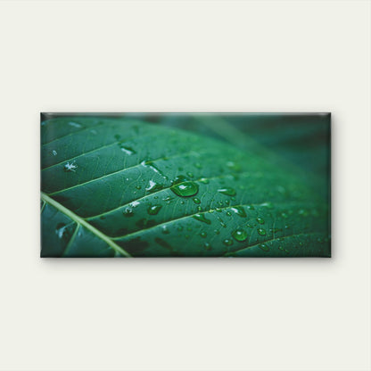 Water Drops On Green Leaf Wall Art Canvas Office Home Room Framed 120x60cm