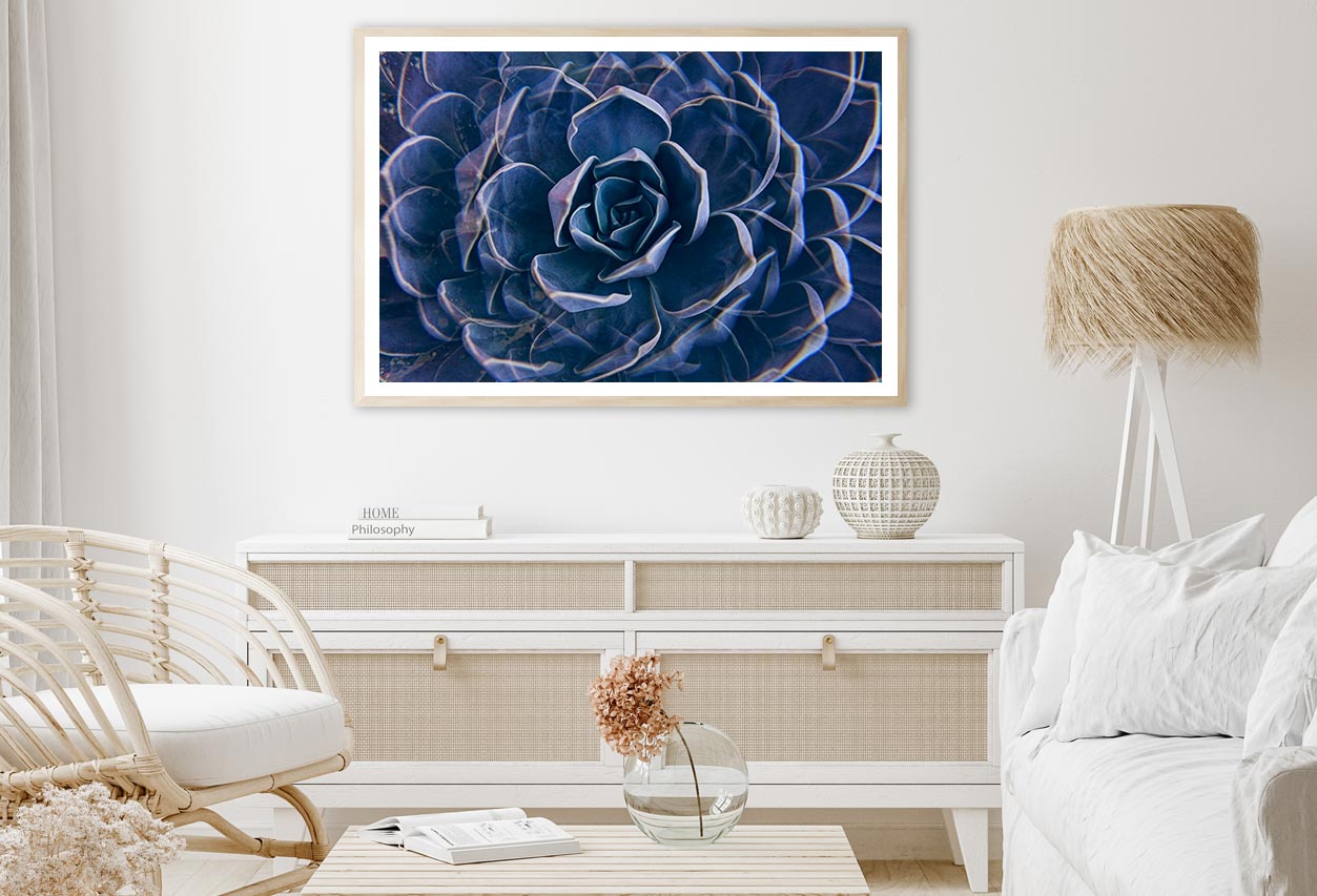 Succulent Rock Rose Closeup Home Decor Premium Quality Poster Print Choose Your Sizes