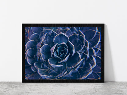 Succulent Rock Rose Closeup Glass Framed Wall Art, Ready to Hang Quality Print Without White Border Black