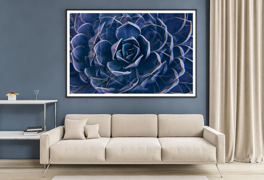 Succulent Rock Rose Closeup Home Decor Premium Quality Poster Print Choose Your Sizes