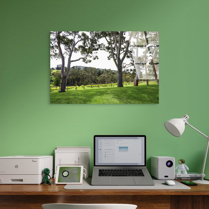 Yarra Valley Vineyard Eucalyptus Trees  Acrylic  Glass Printing Wall Art Australian Made Quality