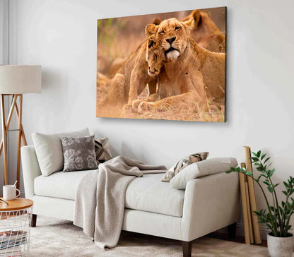 Bella Home Lioness & Cub in The Kruger 90x60cm Print 100% Australian Made