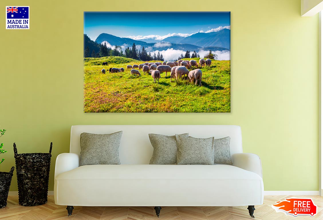 Sheep On Alpine Pasture In Summer Print 100% Australian Made