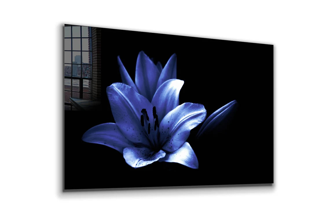 Blue Flower on Dark UV Direct Aluminum Print Australian Made Quality