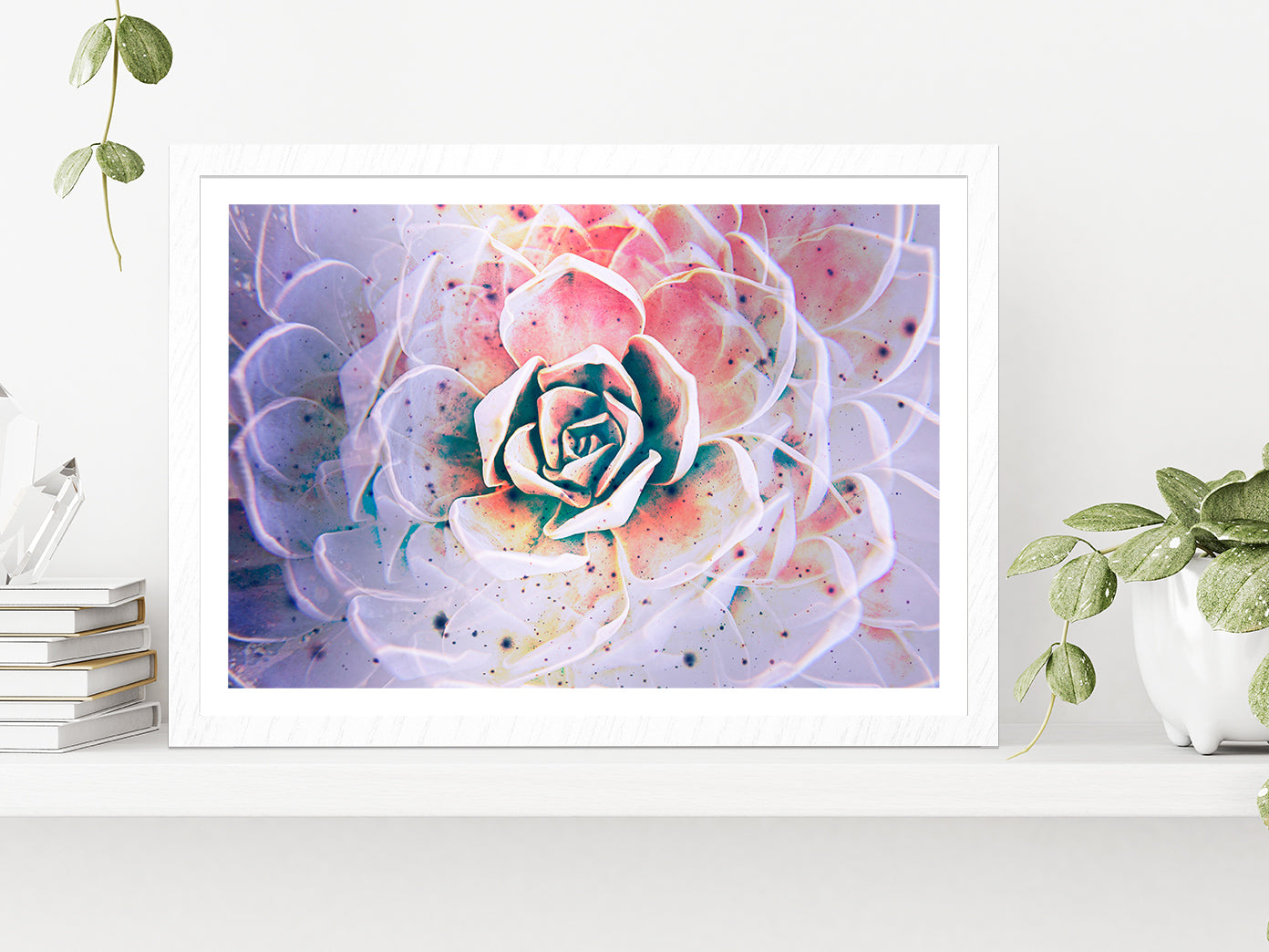 White Mexican Rose closeup Glass Framed Wall Art, Ready to Hang Quality Print With White Border White