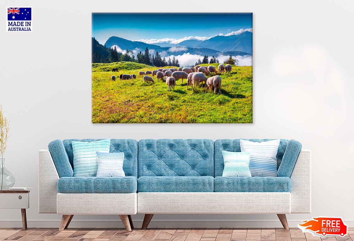 Sheep On Alpine Pasture In Summer Print 100% Australian Made