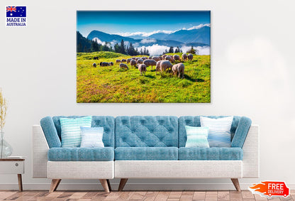 Sheep On Alpine Pasture In Summer Print 100% Australian Made