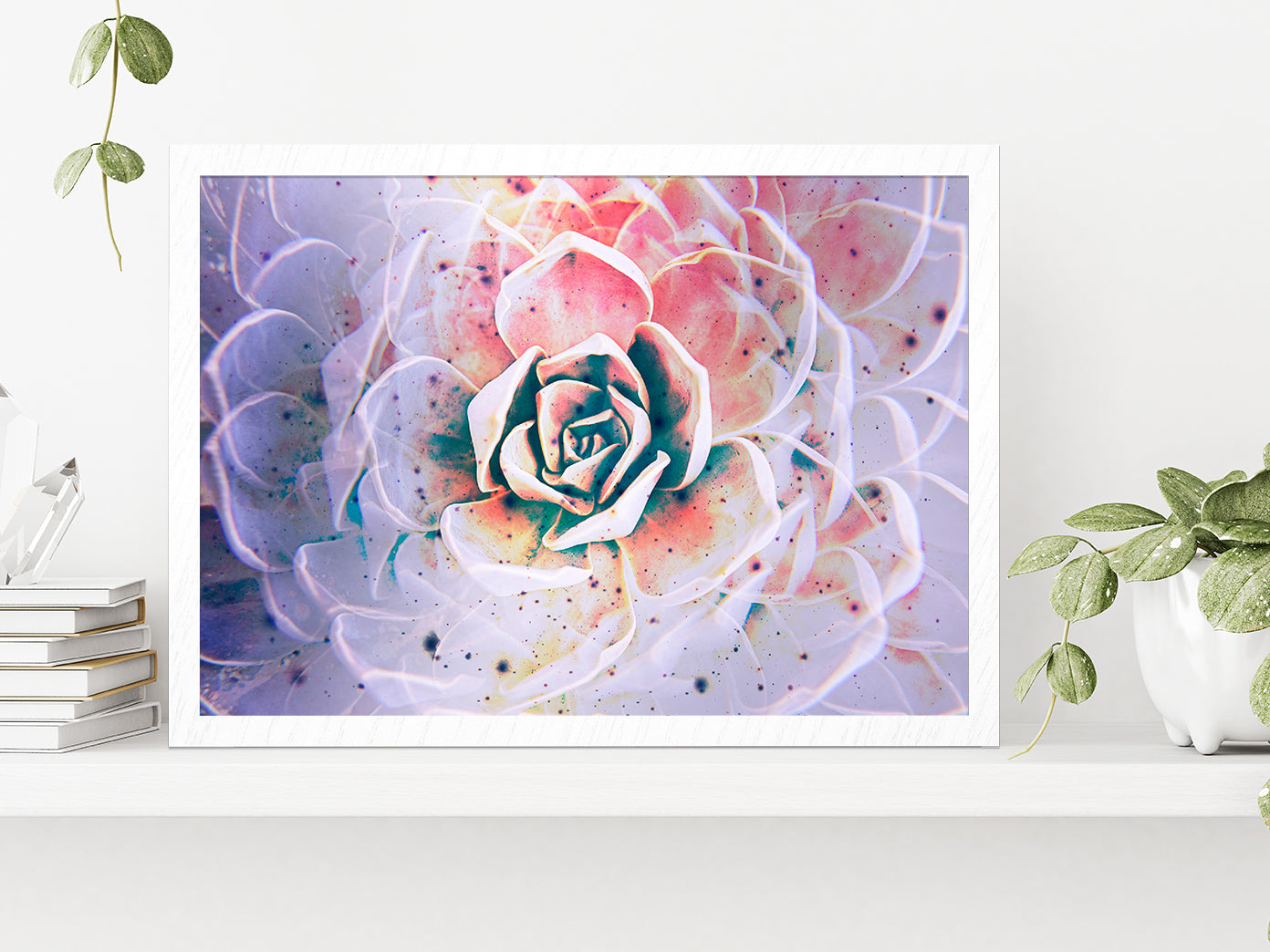 White Mexican Rose closeup Glass Framed Wall Art, Ready to Hang Quality Print Without White Border White