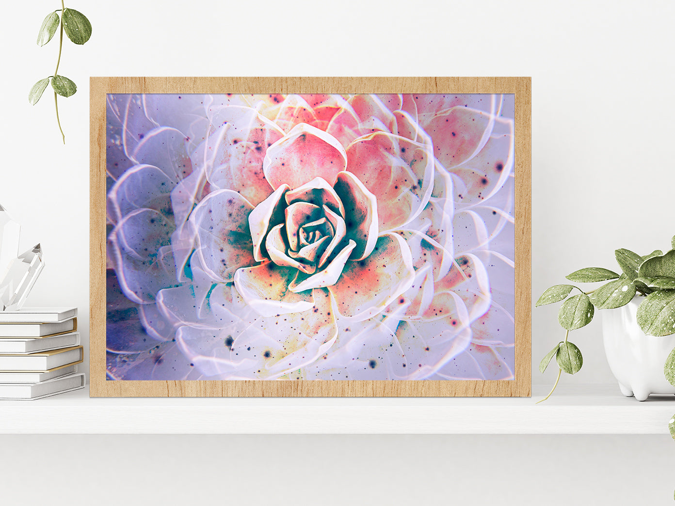 White Mexican Rose closeup Glass Framed Wall Art, Ready to Hang Quality Print Without White Border Oak