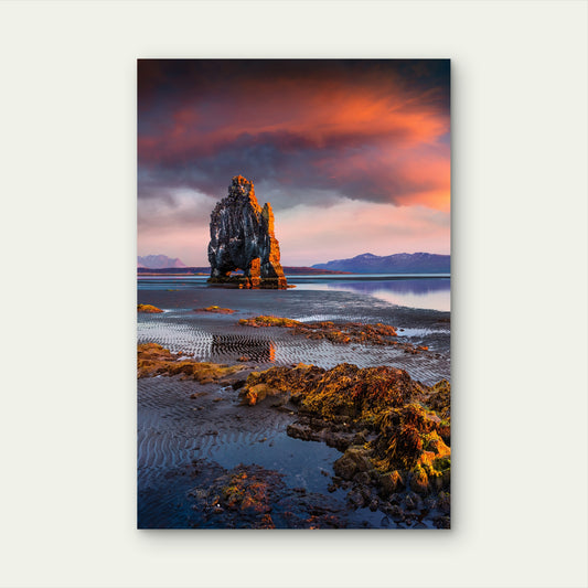 Beautiful Hvitserkur Iceland Coast 40x60cm Metal Print Ready to Hang