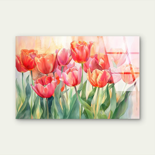Blushing Pink Tulip Meadow Acrylic Glass Printing Wall Art Australian Made Quality