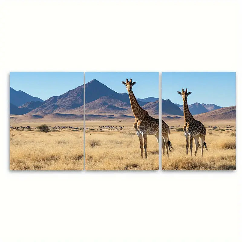 3pcs Namibia Safari Wildlife African Panoramic Wall Art Set Canvas Framed 50x70cm - High Quality Print 100% Australian Made Wall Canvas Ready to Hang