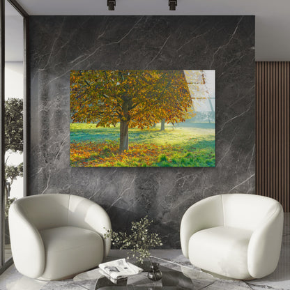 Golden Autumn Tree Tempered Glass Printing Wall Art Australian Made Quality
