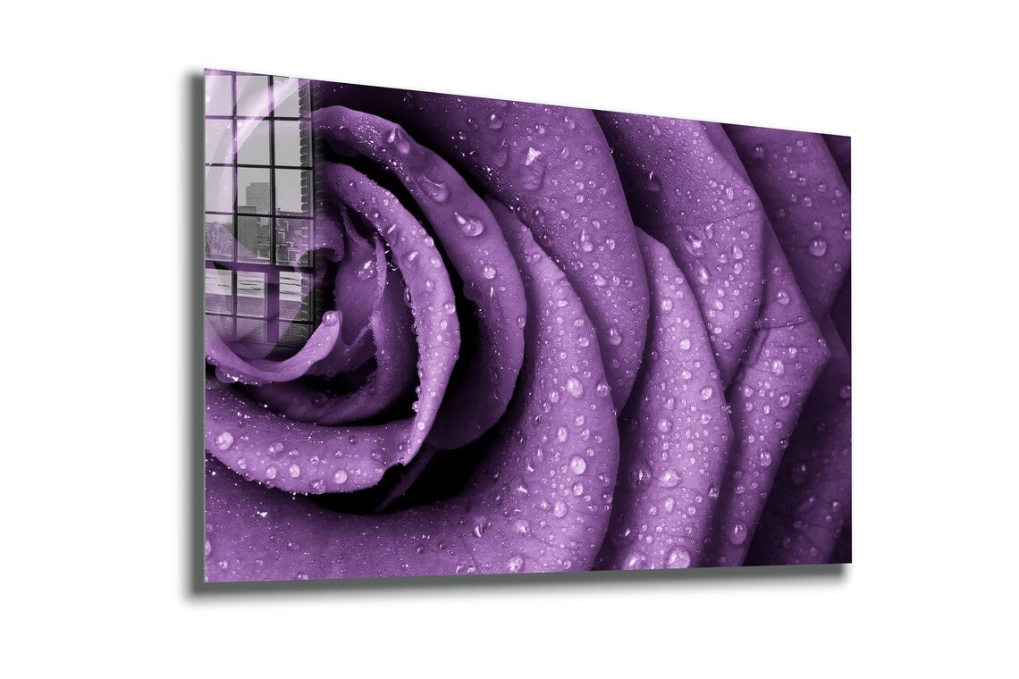 Purple Rose Droplet UV Direct Aluminum Print Australian Made Quality