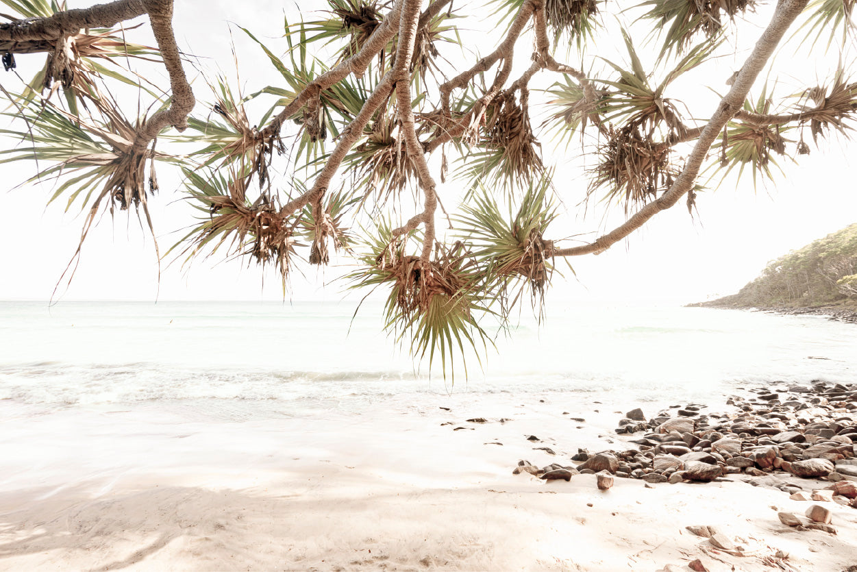 Sea Trees & Rocks near Beach Faded Photograph Glass Framed Wall Art, Ready to Hang Quality Print