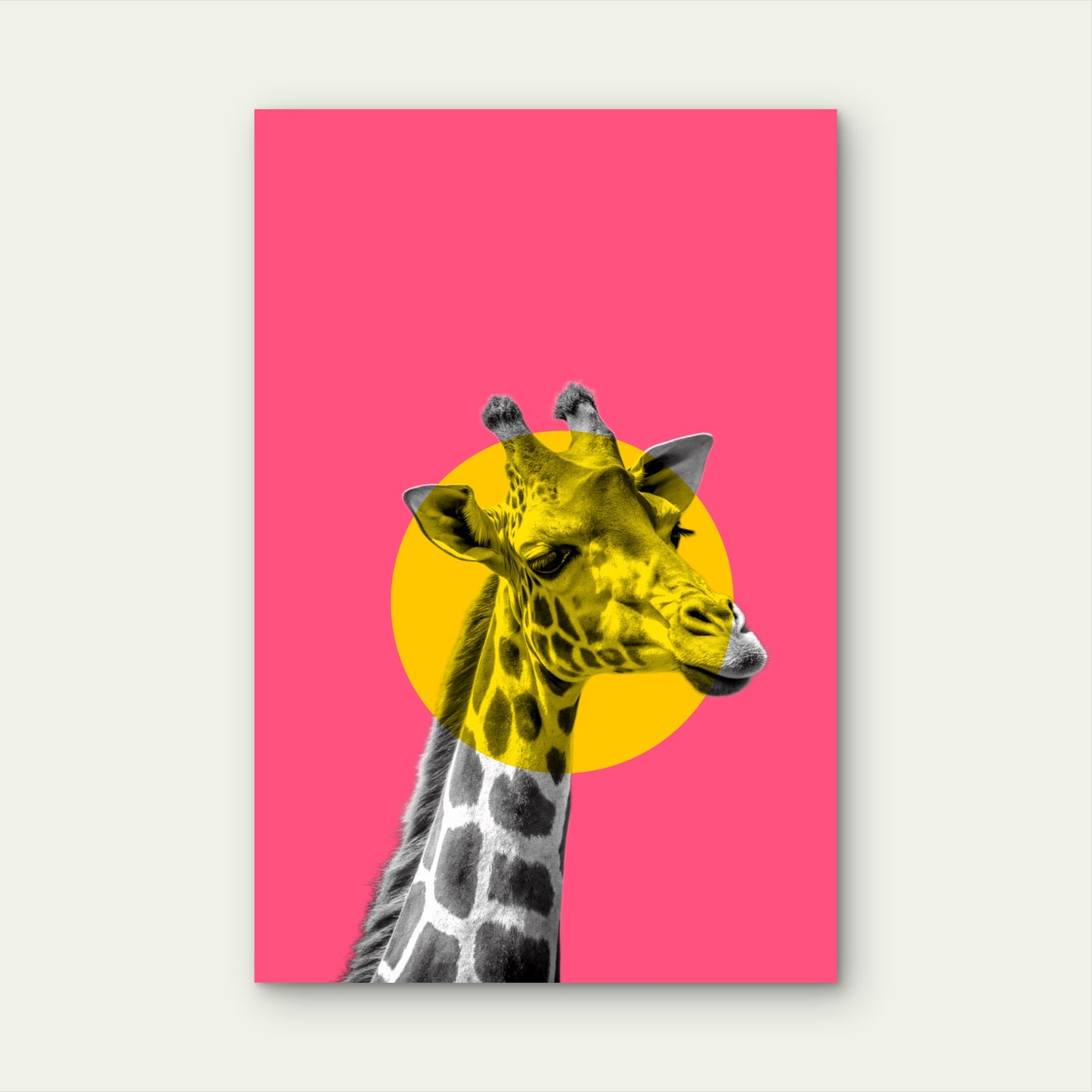Pop Art Featuring a Giraffe 40x60cm Metal Print Ready to Hang