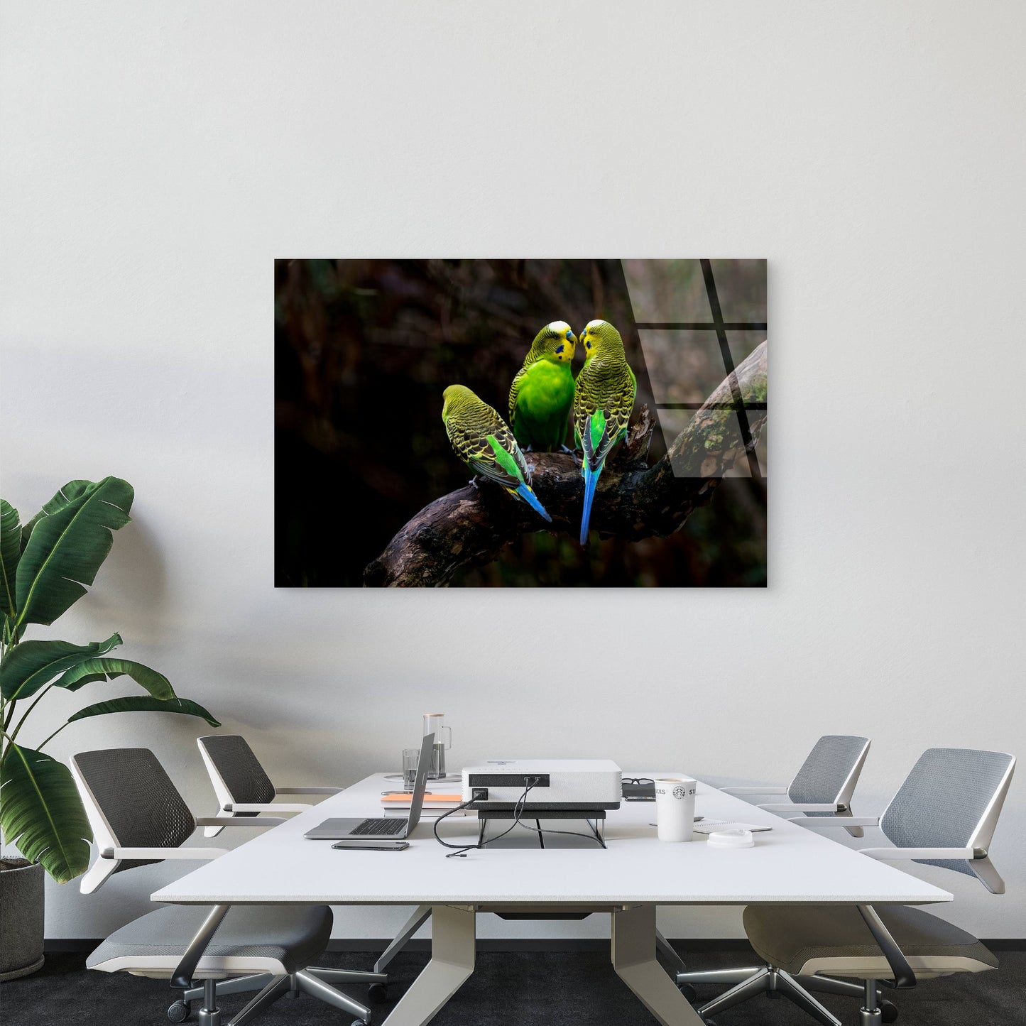 Green Budgerigar Parakeet Wild Bird Acrylic Glass Printing Wall Art Australian Made Quality