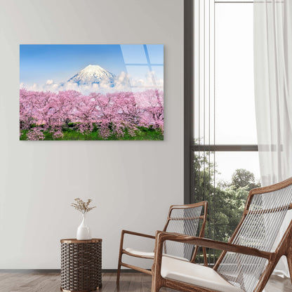 Mount Fuji Snow Peak with Pink Cherry Blossoms Acrylic Glass Printing Wall Art Australian Made Quality