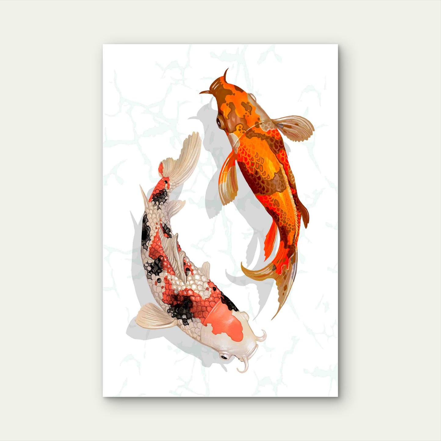 Two Japanese Koi Fish Swimming Metal Print Ready to Hang