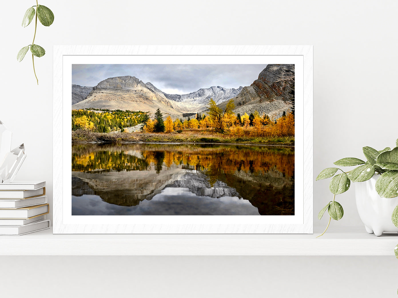 Autumn Forest In Canadian Rockies Glass Framed Wall Art, Ready to Hang Quality Print With White Border White