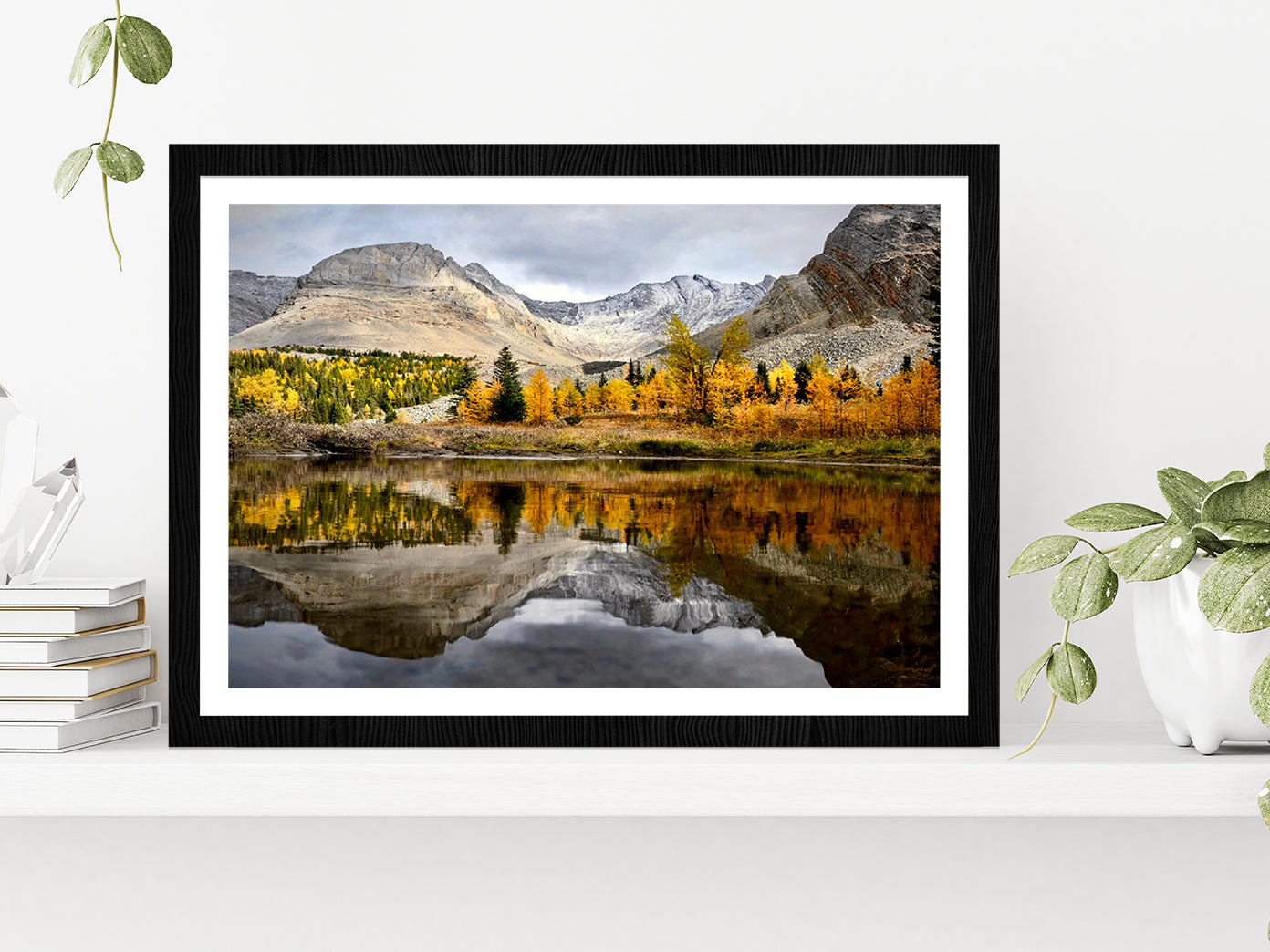 Autumn Forest In Canadian Rockies Glass Framed Wall Art, Ready to Hang Quality Print With White Border Black