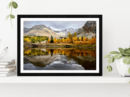 Autumn Forest In Canadian Rockies Glass Framed Wall Art, Ready to Hang Quality Print With White Border Black