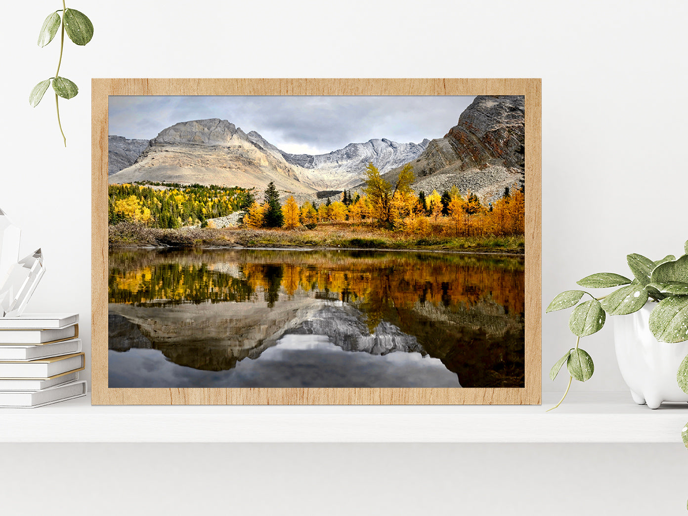 Autumn Forest In Canadian Rockies Glass Framed Wall Art, Ready to Hang Quality Print Without White Border Oak