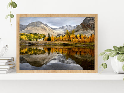 Autumn Forest In Canadian Rockies Glass Framed Wall Art, Ready to Hang Quality Print Without White Border Oak
