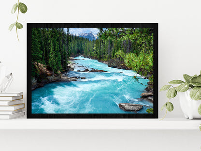 River In Evergreen Forest Glass Framed Wall Art, Ready to Hang Quality Print Without White Border Black