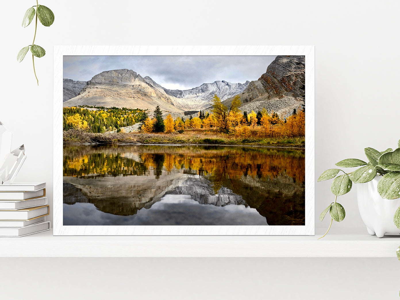 Autumn Forest In Canadian Rockies Glass Framed Wall Art, Ready to Hang Quality Print Without White Border White