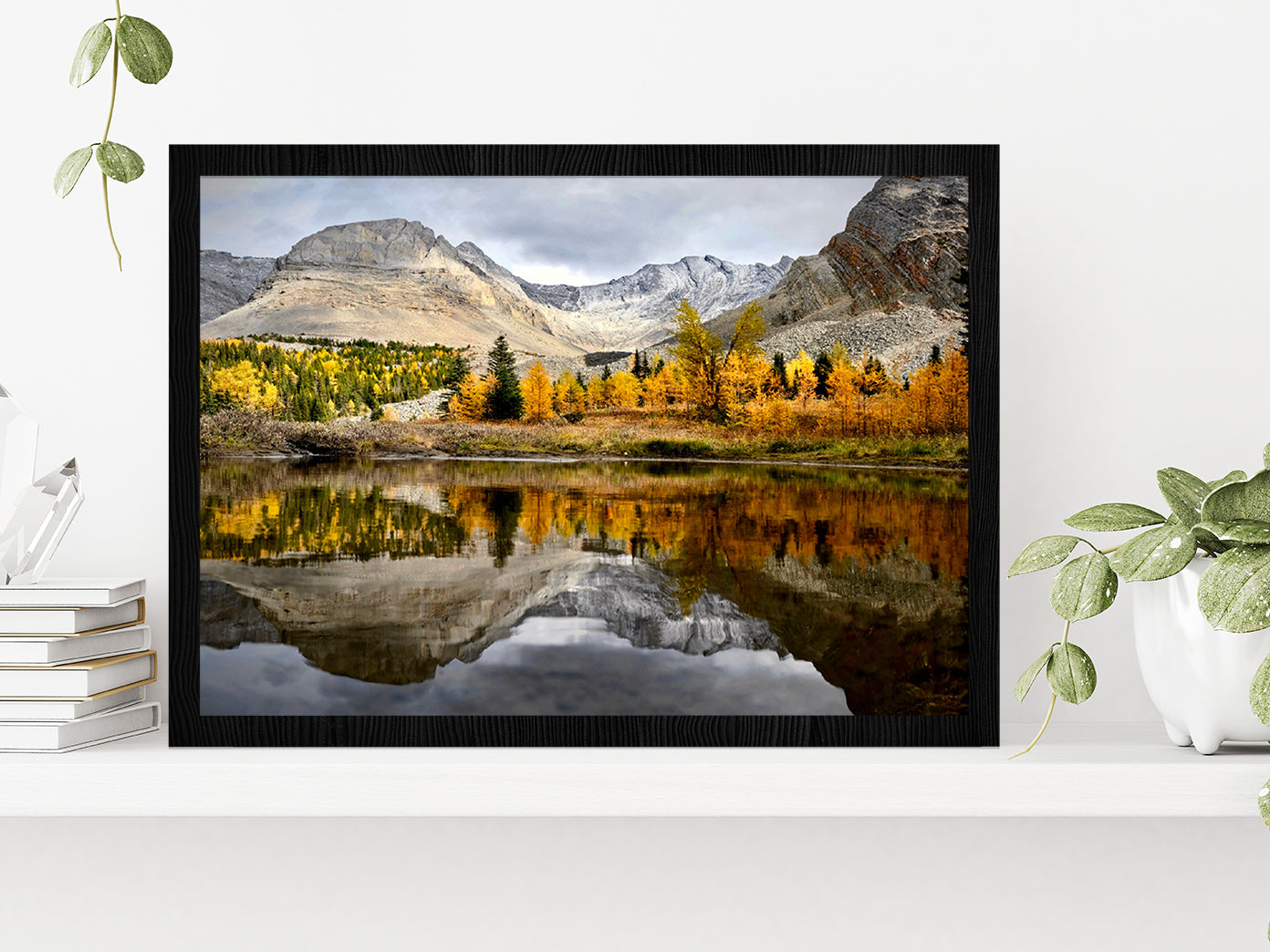 Autumn Forest In Canadian Rockies Glass Framed Wall Art, Ready to Hang Quality Print Without White Border Black
