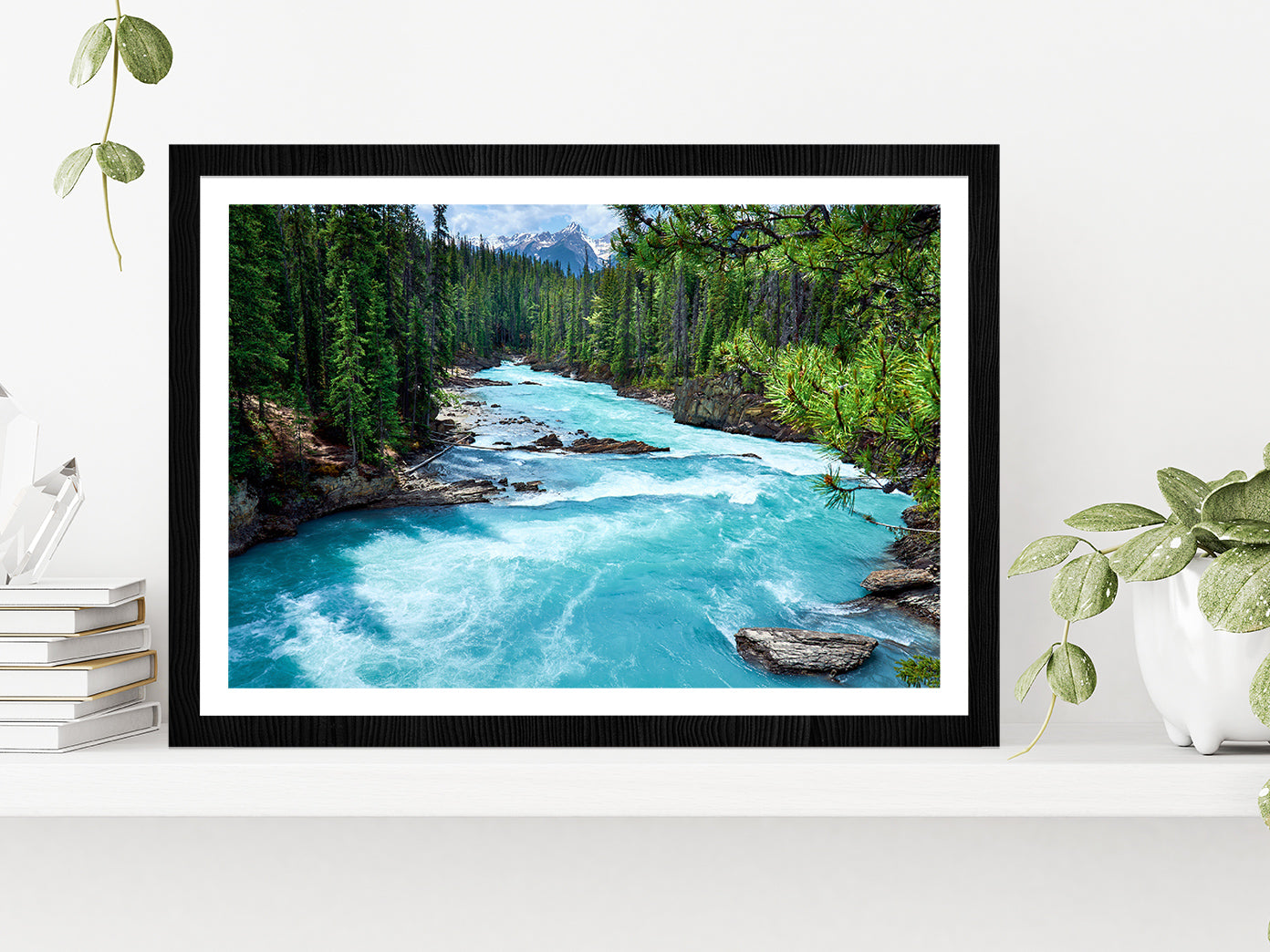 River In Evergreen Forest Glass Framed Wall Art, Ready to Hang Quality Print With White Border Black