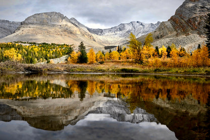 Autumn Forest In Canadian Rockies Glass Framed Wall Art, Ready to Hang Quality Print
