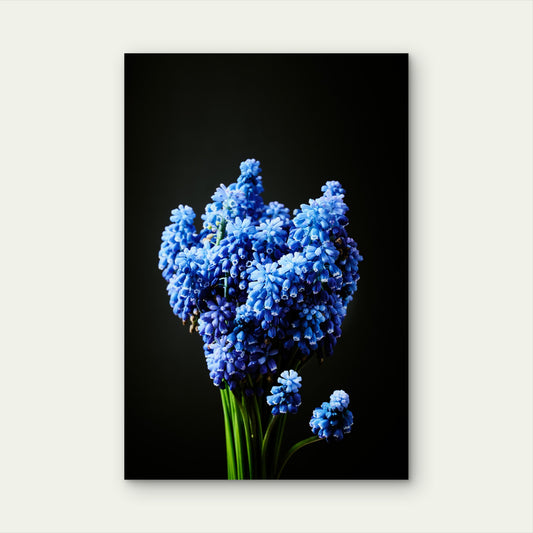 Blue Grape Hyacinth Muscari Flower Bouquet 40x60cm Metal Print Ready to Hang