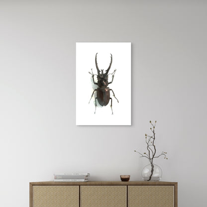 Male Stag Beetle Specimen 40x60cm Metal Print Ready to Hang