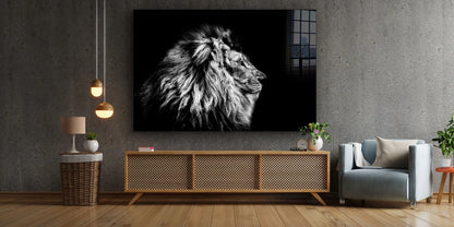 Lion B&W Side View UV Direct Aluminum Print Australian Made Quality