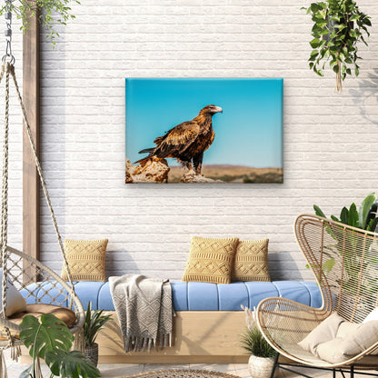 Striking Desert Perch Wedge Tailed Eagle Landmark Wildlife Australia Wall Art Decor 100% Australian Made