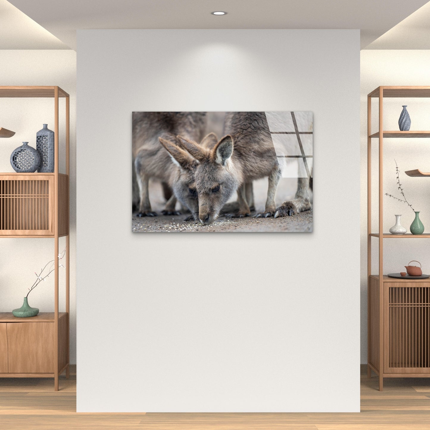 Eastern Grey Kangaroo Wildlife Glass Printing Wall Art Australian Made Quality