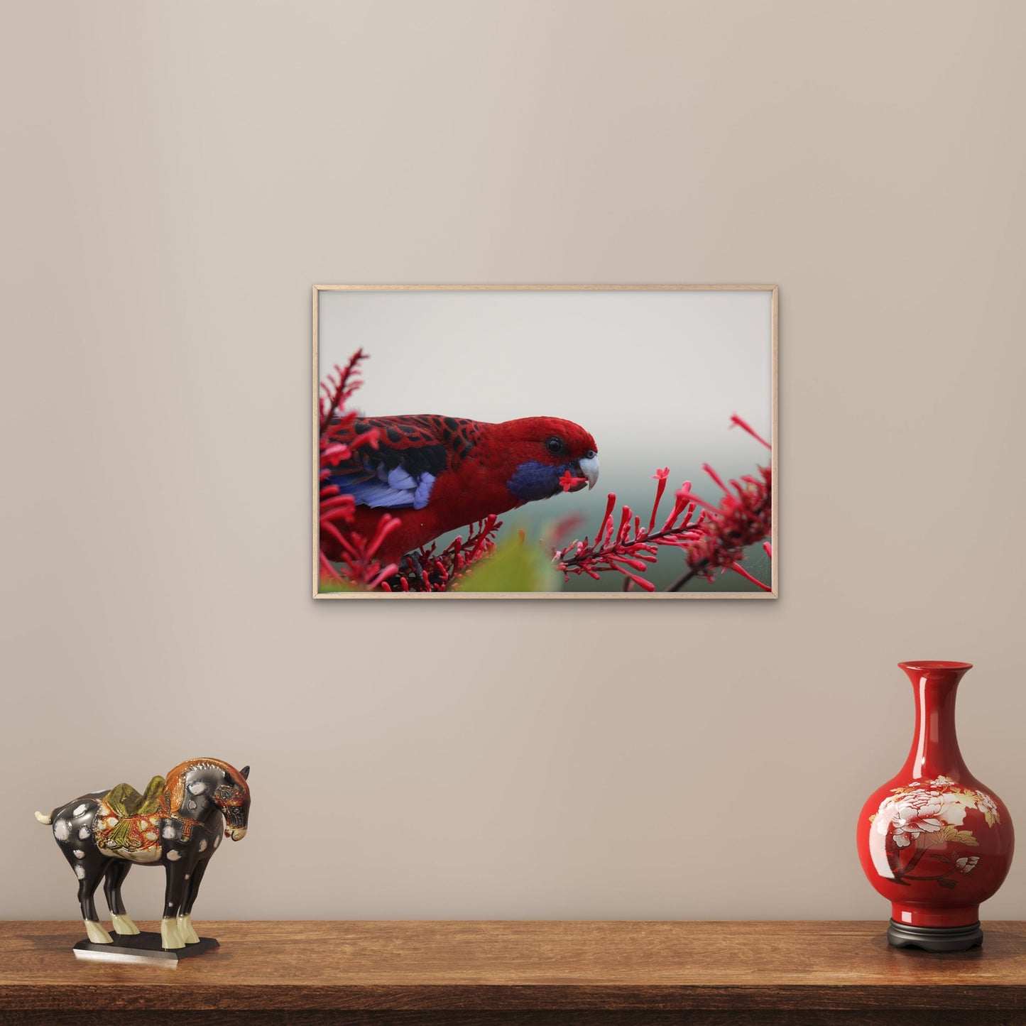 Crimson Rosella South Coast NSW Wall Art Decor 100% Australian Made